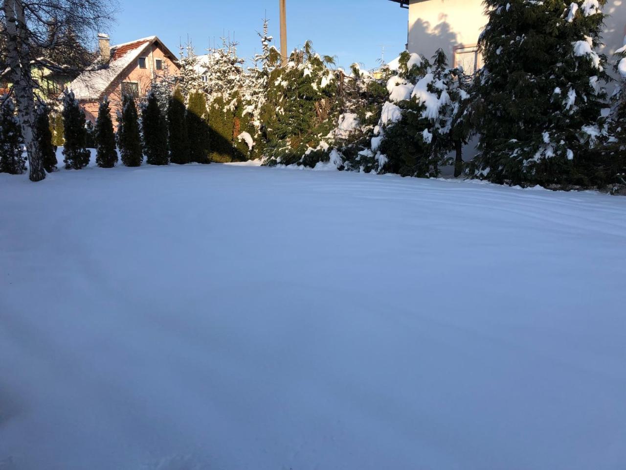 Holiday Home Vila Tejic Златибор Екстер'єр фото