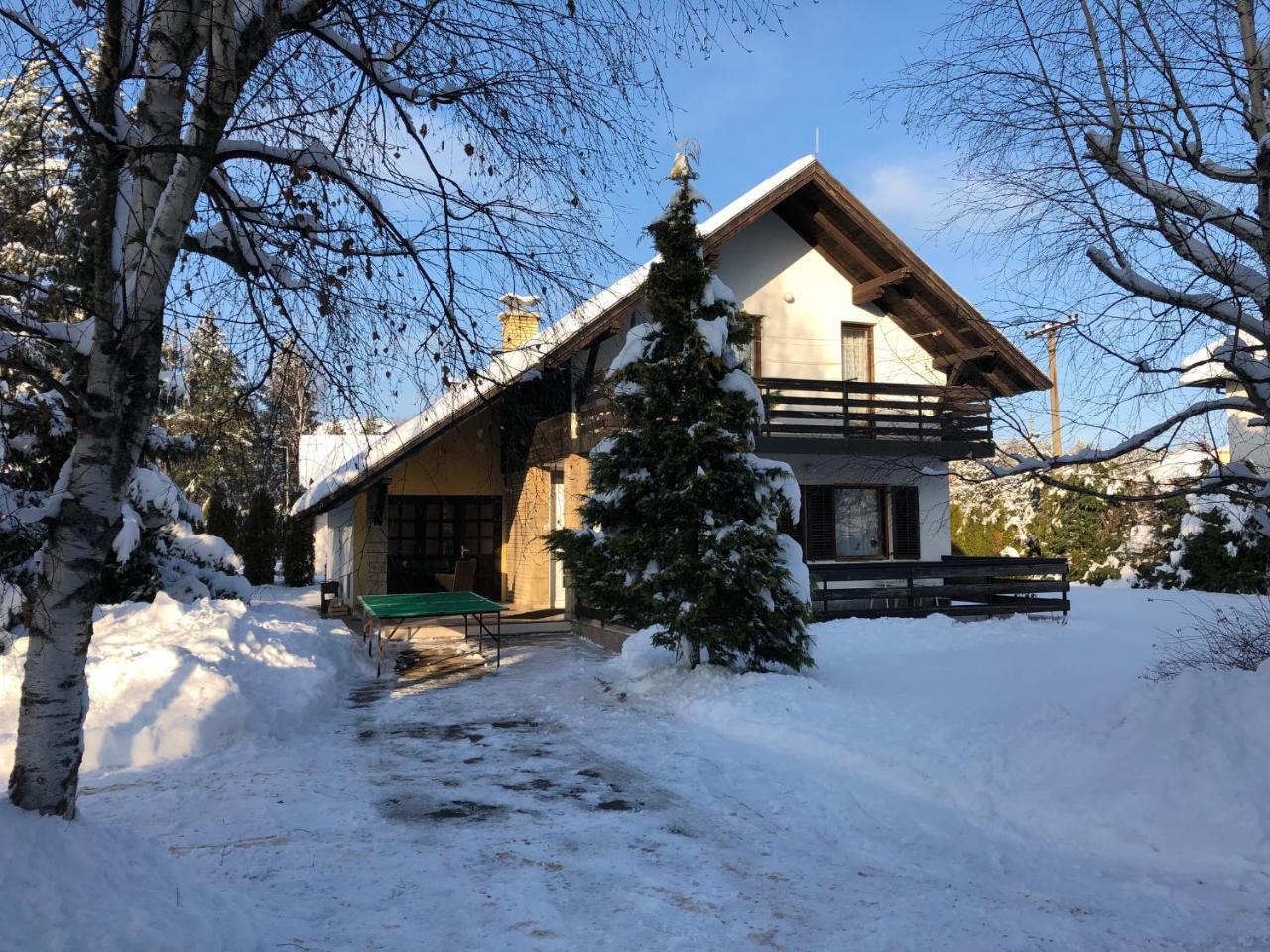 Holiday Home Vila Tejic Златибор Екстер'єр фото
