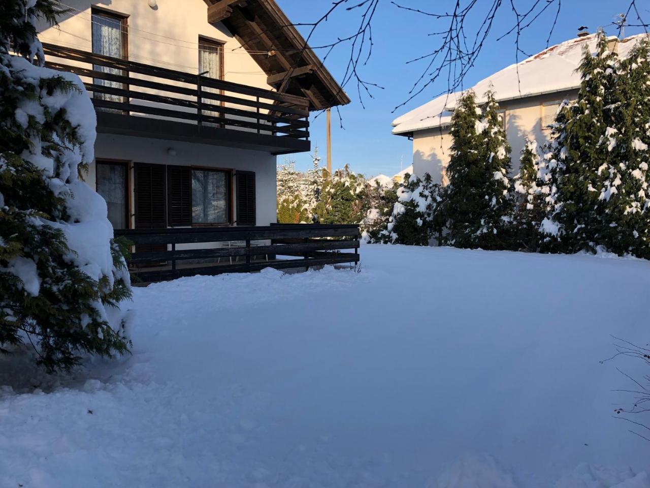 Holiday Home Vila Tejic Златибор Екстер'єр фото