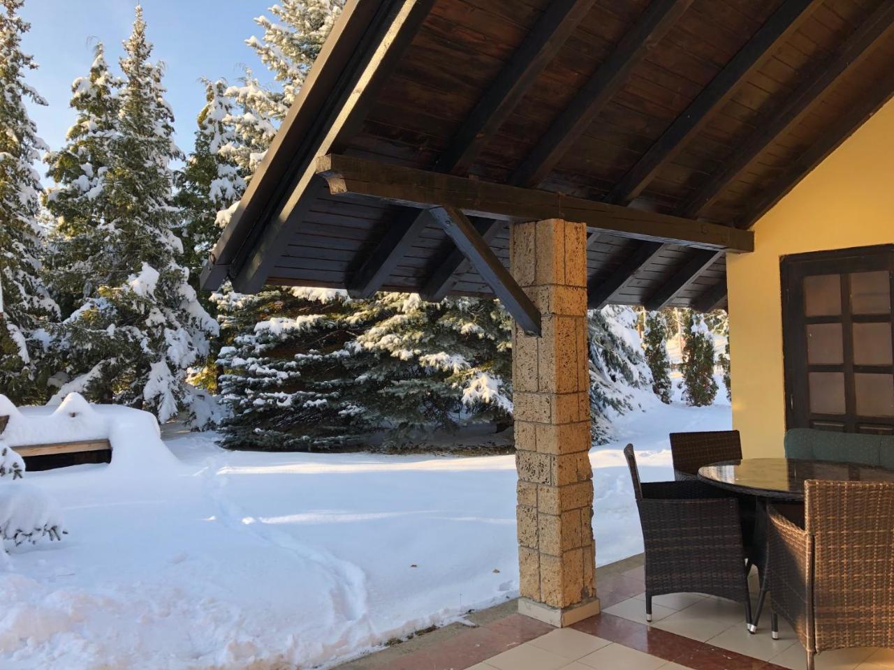 Holiday Home Vila Tejic Златибор Екстер'єр фото